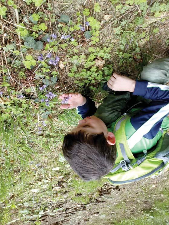 Národní park Šumava je tou nejlepší učebnou pod širým nebem www.npsumava.