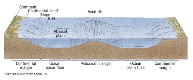 Prvky reliéfu oceánského dna Rift (středooceánský hřbet) oceánské