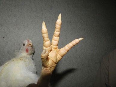 Tato pozorování pomohou udělat si představu o každém jednotlivém