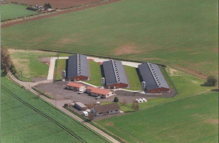 nepromokavé) zdi a stropy, přístupné ventilační potrubí a žádné vnitřní sloupy nebo výčnělky. Jinak není možné dostatečně čistit a desinfikovat špinavé podlahy.