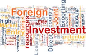 Základní informace o SAE Přímé zahraniční investice Odvětví služby velkoobchod a maloobchod