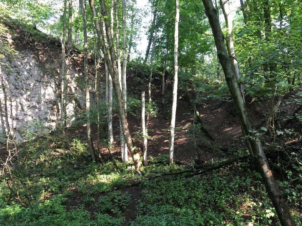 Příloha 6 Obr. 1.