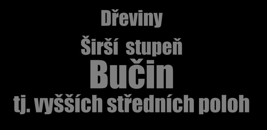 Dřeviny Širší stupeň Bučin tj. vyšších středních poloh Pozn.