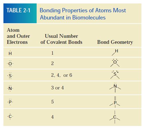 Kovalentní vazba Electrons Are Shared