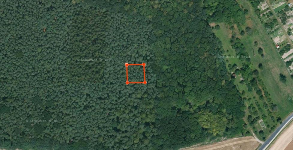 7.4.2 Jehličnatý les Sběr klíšťat probíhal v jehličnatém lese (viz obrázek 18) s dominancí smrku ztepilého (Picea abies) (KUBÁT 2002) (viz obrázek 19, 20).