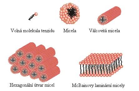 Obr. 15 Vliv koncentrace roztoku na strukturu micely [33] 2.4.3 Klasifikace tenzidů Klasifikace tenzidů je založena na náboji polární hlavy.