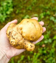 Díky tomu jsme zachránili přes 10 milionů kilogramů