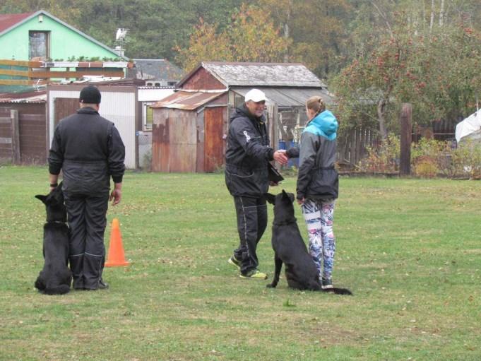 1.2019 přináší nový pohled na využití povahových a fyzických vlastností psů. Řád klade důraz především na povahovou vyrovnanost, souhru mezi psovodem a psem s využitím ve sportovní kynologii.