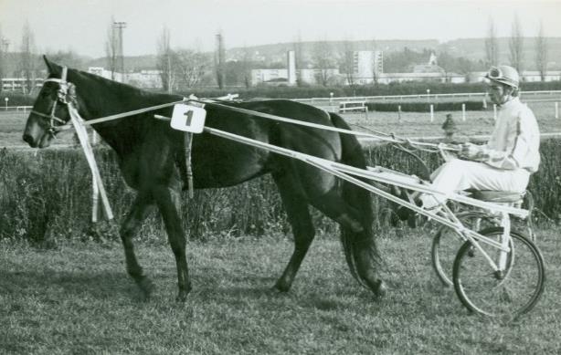 POLJANA Gellért Pritty JZD Lysá nad Labem 1983 POLJANA