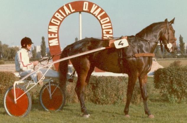 nad Labem 1987 LIZA (H) Lil Utah JZD Lysá nad Labem 1988