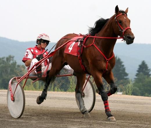 Vanity Lobell Gana Stáj Chrastina 2001 LIMON (NL) Alfresco Warrie Renka