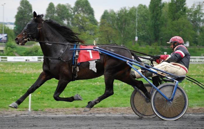 Popcorn 2003 LUCKY FORTUNA (D) Volo Prise Quara Stáj SIAM 2004 LUCKY
