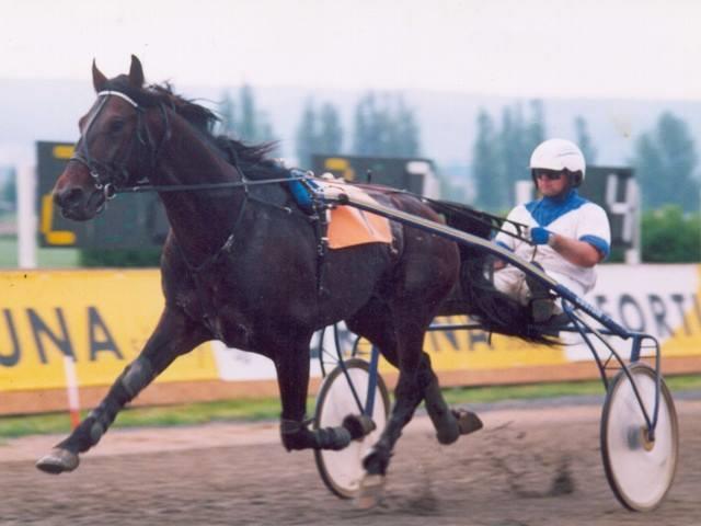 2007 SIR GILL (D) Divinator Aischa Stáj JOKR 2008 JUMBY D OCCAGNES (F)