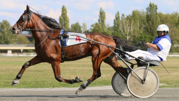 : Quaker Jet (F) - Parabol