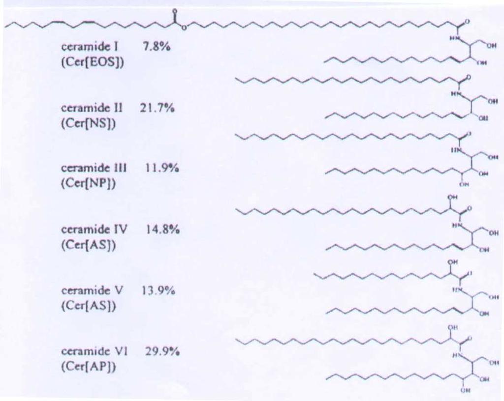 2.3. Ceramidy Ceramidy jsou hlavní složkou epidermálních lipidů. Jejich relativní poměr ve SC je na obr. č. 6 18 Obr.
