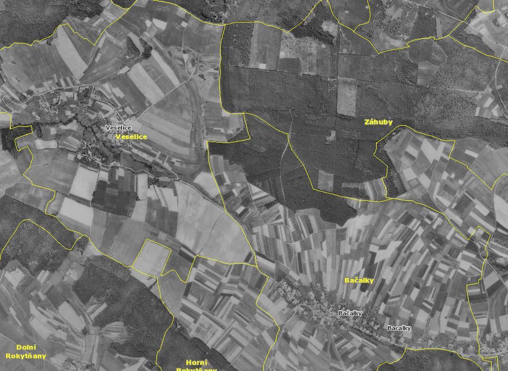 1954