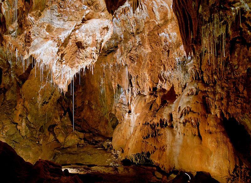 Gombasecká jeskyně krápníková jeskyně v Slovenském krasu slouží také jako sanatorium pro léčení nemocí dýchacích cest nachází se ve středu národního