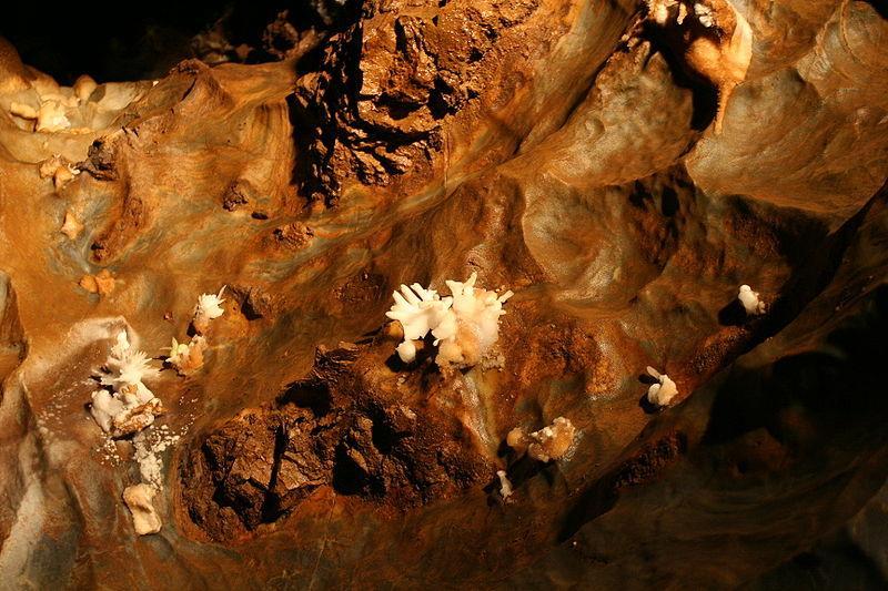 Zajímavost Ochtinská aragonitová jeskyně okolo 300 m dlouhá jeskyně, která se nachází na Slovensku nedaleko Jelšavy jeskyně byla objevena