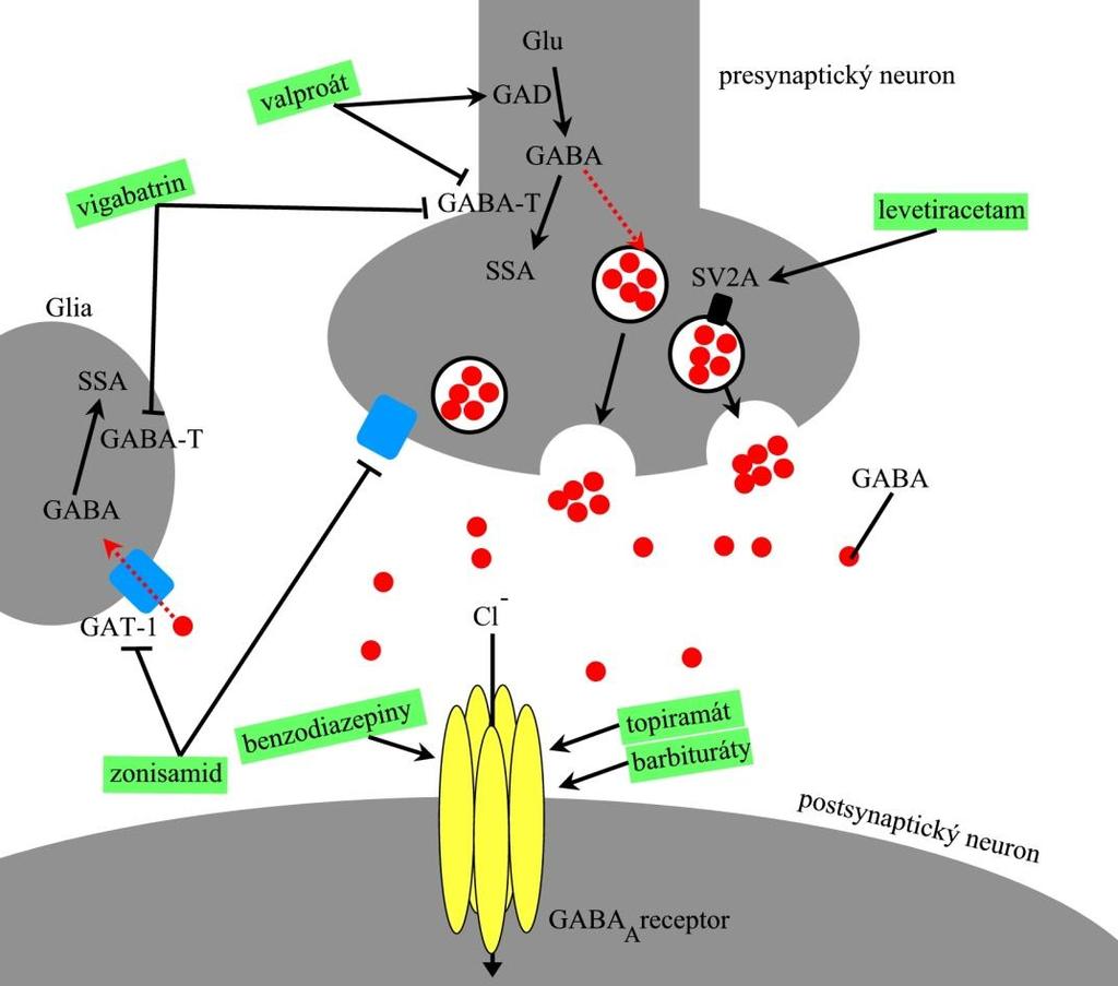 Lékové interakce PBT vzniklý biotransformací PRI vykazuje shodné lékové interakce, jako jsou popsány pro samostatné léčivo. Relevantní lékové interakce mohou nastat při polyterapii s PHE a KAR.