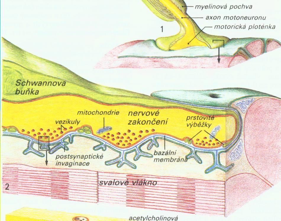 Obr. 1.