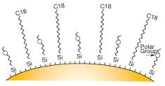 Lutein 4,41 Zeaxanthin 4,75 Betakaroten 5.96 110 mau 450nm,4nm (1.00) 100 90 80 70 60 50 40 30 20 10 0-10 -20 0.0 0.5 1.0 1.5 2.0 2.5 3.0 3.5 4.0 4.5 5.0 5.5 6.0 6.5 min Obr.