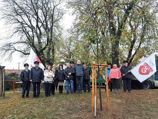 Spolková činnost Sokolové sázejí Lípy republiky Štěpánovští sokolové sázejí Lípy republiky ; foto z archivu TJ Sokol U příležitosti výročí 100 let vzniku Československé republiky je po celé zemi