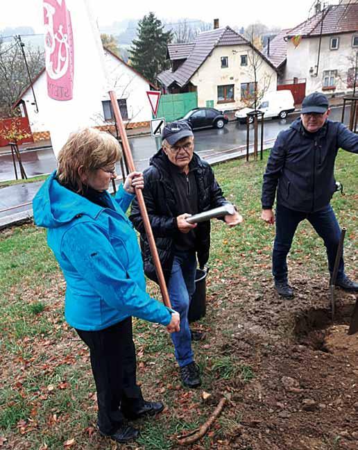 Česká obec sokolská, župy a jednotlivé sokolské jednoty se do tohoto projektu aktivně zapojily. Také štěpánovští sokolové se k této akci připojili a v neděli 28.