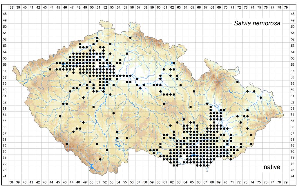 Distribution of Salvia nemorosa in the Czech Republic Author of the map: Jitka Štěpánková Map produced on: 12-06-2018 Database records used for producing the distribution map of Salvia nemorosa