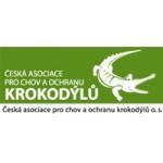 Rádi bychom pomáhali mnohem víc, nicméně naše prostory a finanční možnosti jsou omezené.