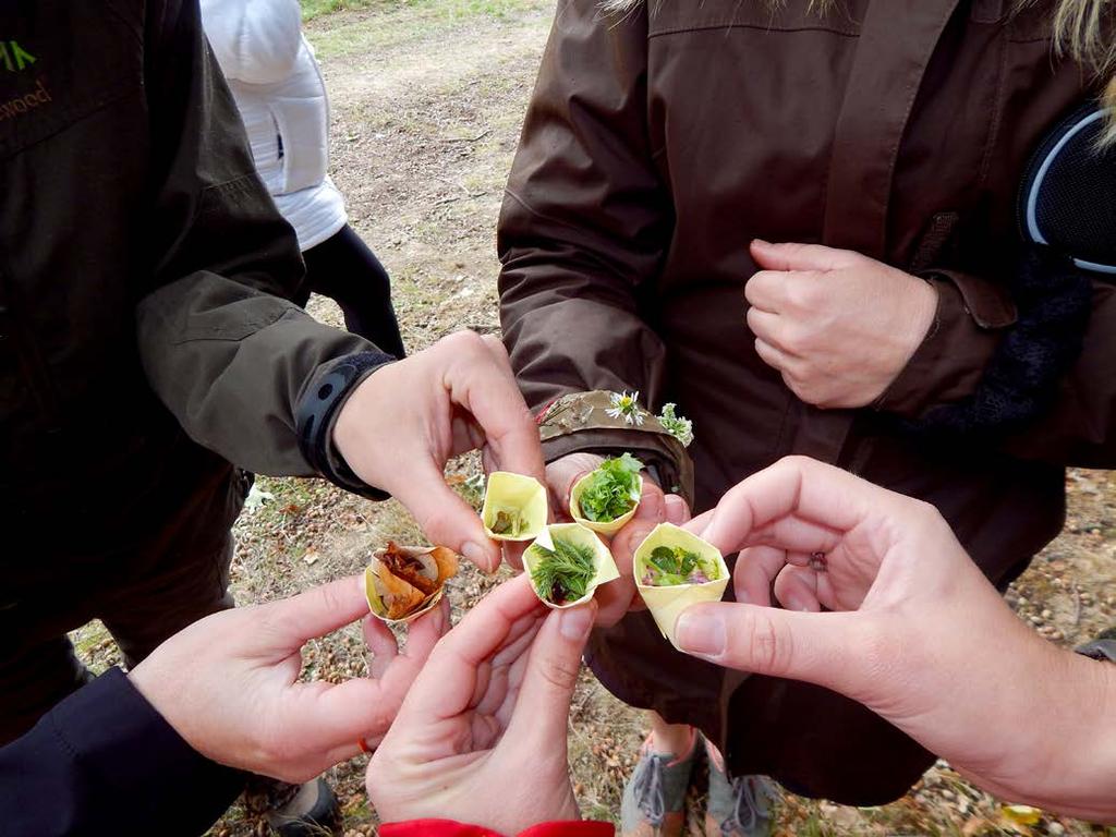 MRKVIČKA MRKVIČKA je síť mateřských škol se zájmem o environmentální výchovu. STŘEVLIK je jejím koordinátorem na území Libereckého kraje.