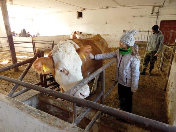 uvnitř i venku 3 hod. 50 Kč 17. 2. - 31. 3. 2020 3. - 5. třída Základní škola I. stupeň Nejen kráva mléko dává I.