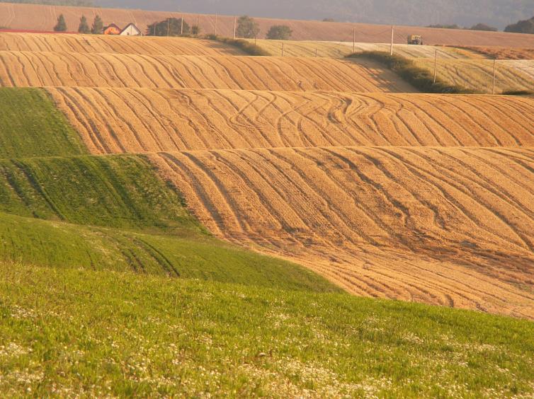 tropickou třicítku došlo až ve druhé polovině měsíce. Nejvyšší teploty nad 35 stupňů byly na odpustovou neděli a následné pondělí. Bohužel pokračoval srážkový deficit.