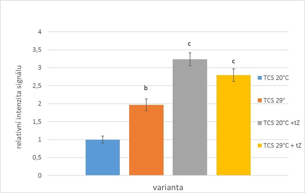již při vysokých hladinách cytokininu nemá na cytokininovou signalizaci další aditivní účinek. a Obr. 7: Intenzity signálu fluorescence GFP.