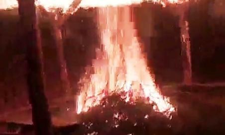 Tak se museli spokojit s koupelí pod splavem ve vývařišti zhruba v 0,7 m hloubce, kde voda jen tak nezamrzá.