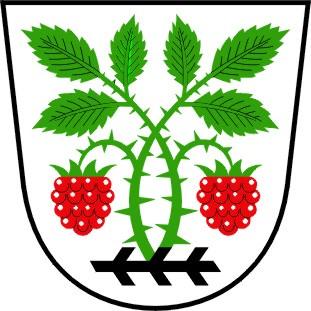 OBEC MALÍNKY okres Vyškov kraj Jihomoravský NÁVRH ZÁVĚREČNÉHO ÚČTU ZA ROK - 08 Obsahuje následující dokumenty:. Výkazy sestavené k 3.