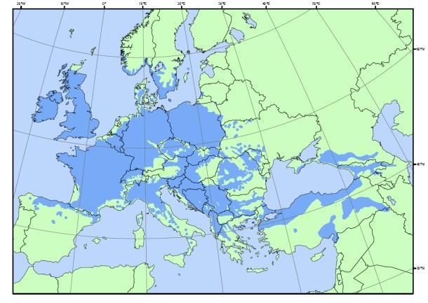 Obrázek 3: Rozšíření dubu zimního v Evropě (Divíšek, a další, 2010) Na našem území je tento druh nejvíce zastoupen ve smíšených porostech všech teplých pahorkatin, kde se jeho zastoupení prolíná ve