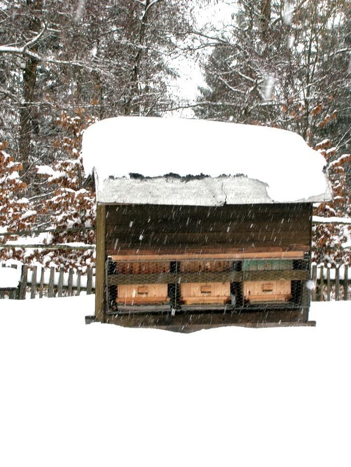 Včelník vytváří jednoduché přenosné zařízení složené z 3 až 5 úlů. Má odklápěcí střechu a odnímatelnou zadní stěnu.