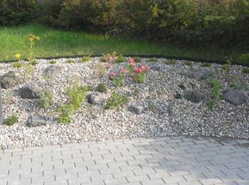 před úpravou Bylinková zahrádka voňavou levanduli a několik druhů drobných skalniček.