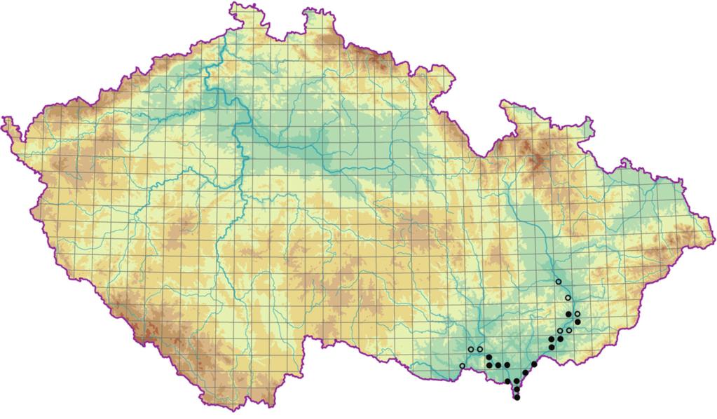 Mezofilní a vlhké opadavé listnaté lesy (Carpino-Fagetea) i průběh změn v zastoupení dřevin v porostech.