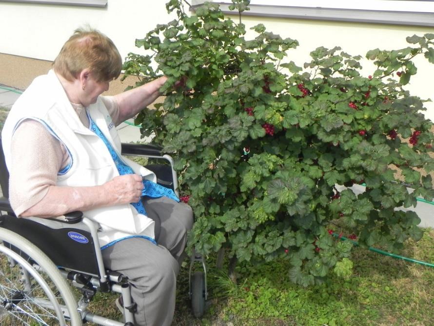 obsypaných keřících naší zahrady.