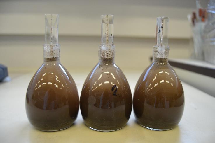 Pomocí naměřených hodnot byla u všech vzorků zjištěna specifická hmotnost, která vyjadřuje odhad zastoupení organického podílu v půdě (Horáček et al., 1994).