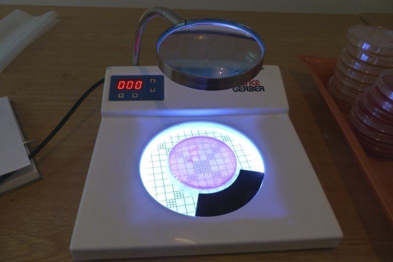 (±1 C) po dobu 15 minut (složení půdy dle ČSN ISO 7954).