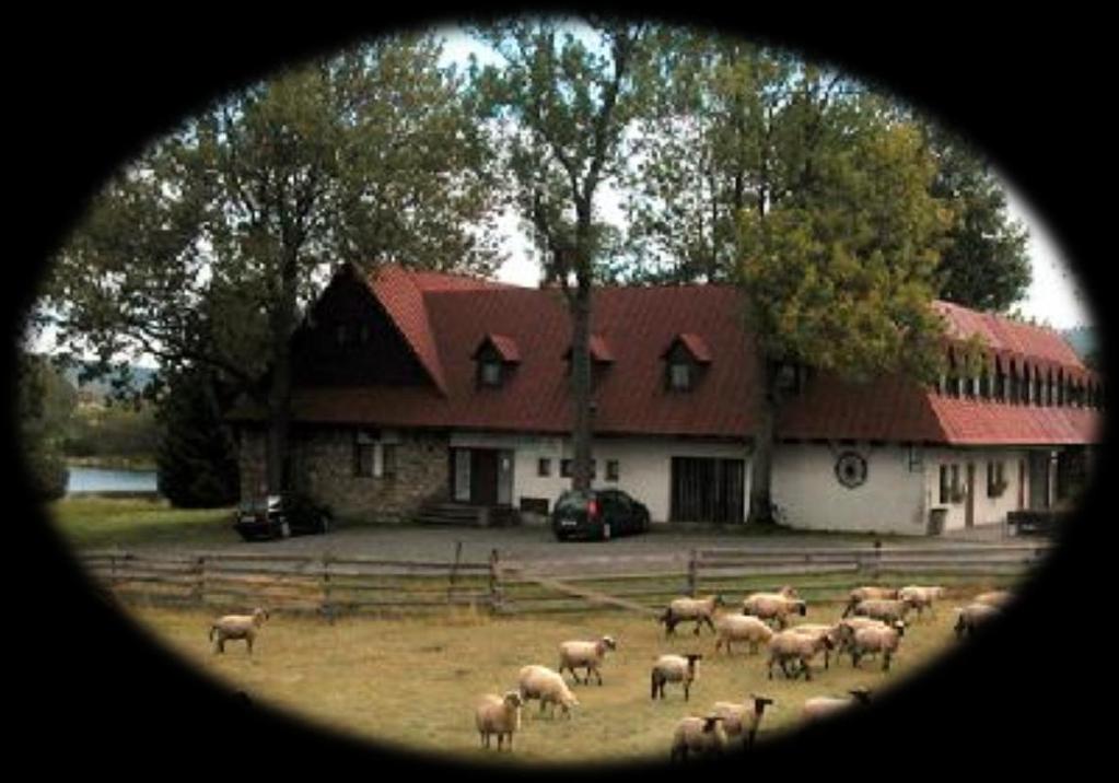 VÝPRAVA S