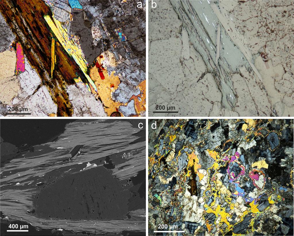Bull Mineral Petrolog 27, 1, 2019. ISSN 2570-7337 (print); 2570-7345 (online) 195 leko železniční stanice Nová Ves nad Nisou, blízko kontaktu tanvaldského granitu s libereckým granitem (asi 250 m jz.
