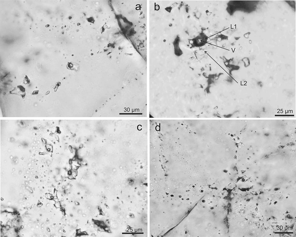 200 Bull Mineral Petrolog 27, 1, 2019. ISSN 2570-7337 (print); 2570-7345 (online) Obr. 6 Příklady různých typů fluidních inkluzí ze studovaného vzorku křemene.