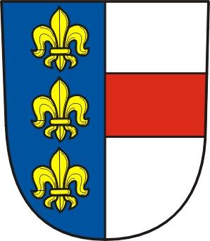 Ministerstvo financí VÝKAZ PRO HODNOCENÍ PLNĚNÍ ROZPOČTU územních samosprávných celků, dobrovolných svazků obcí a regionálních rad sestavený k 12 / 2017 (v Kč na dvě desetinná místa) Rok Měsíc IČO
