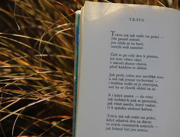 Toulavá poezie (E.