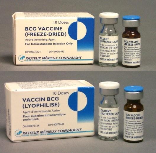 Očkování proti TBC www.indoindians.com/health/vaccine.