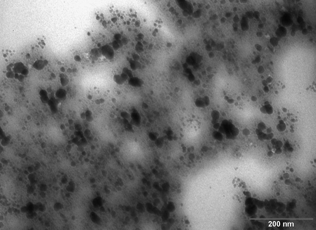 Jsou vizualizovány nanočástice velikostí od 6,92 nm do 20,12 nm.