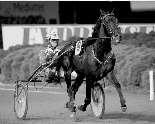 EL MAGO PELLINI CUP 1.